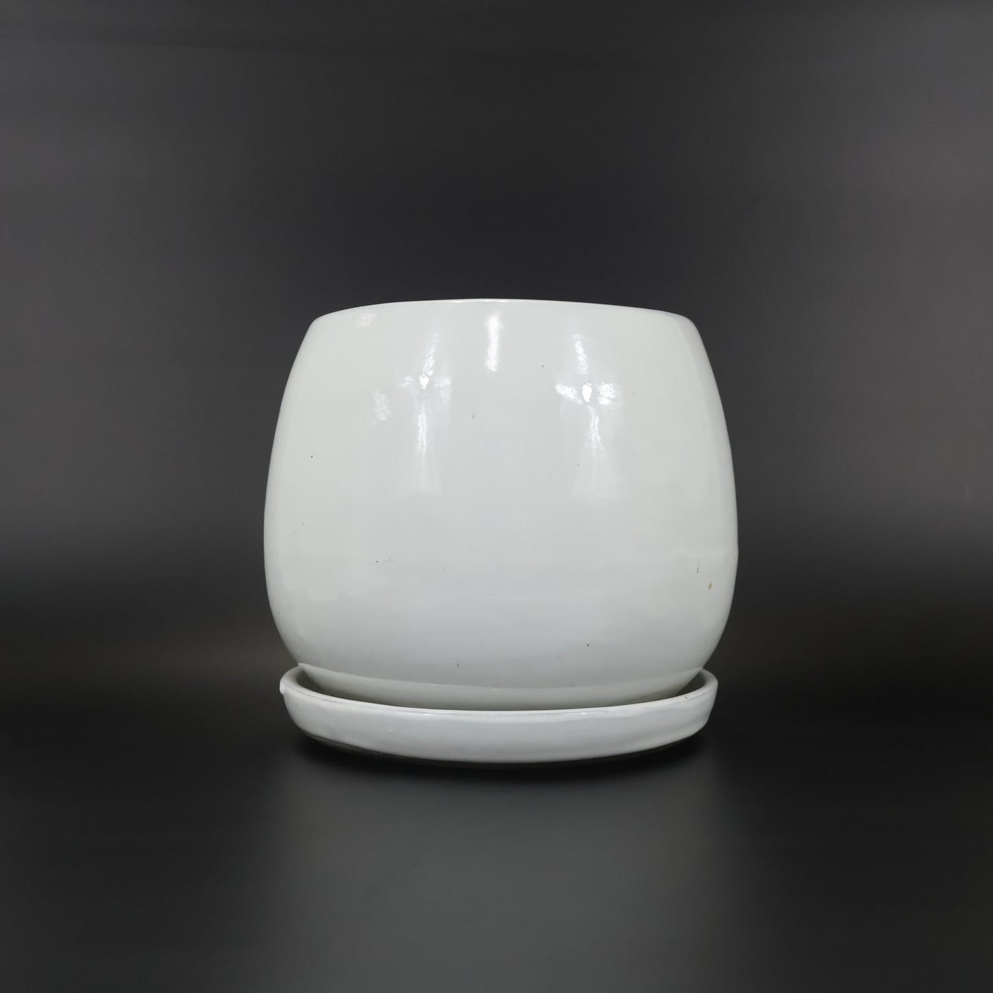 An image of the White Rustic Bulb ceramic container.