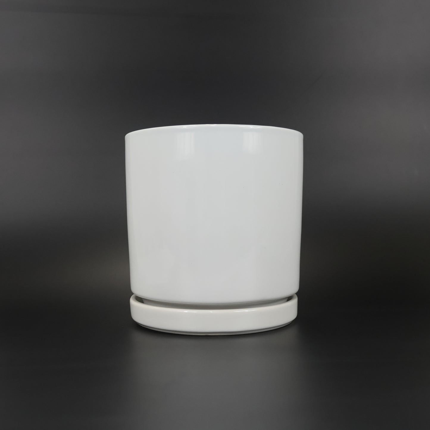 An image of the Glazed White Tall Modern Cylinder ceramic container.