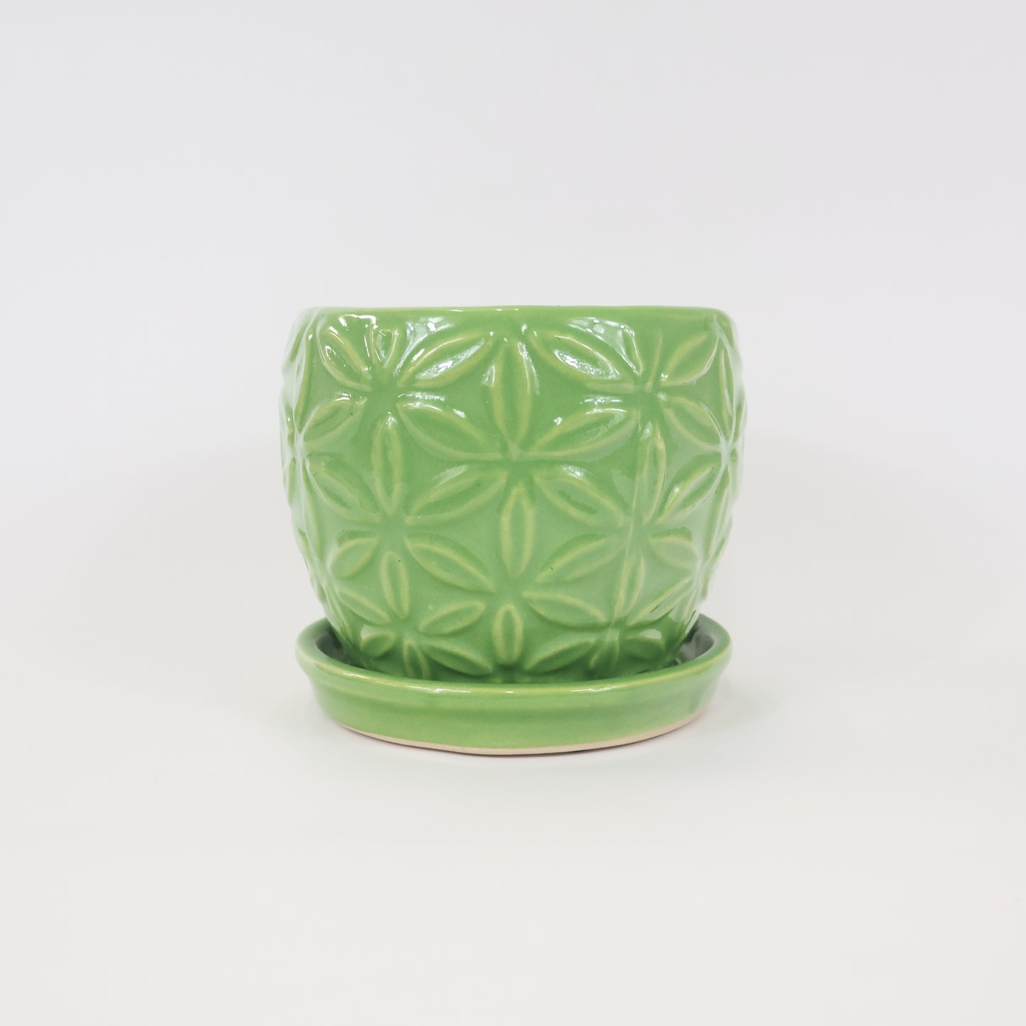 An image of the Green Floral ceramic container.